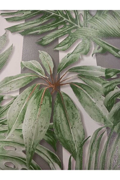 ASKA Çizgili Yapraklı Duvar Kağıdı (5 M²) 2601