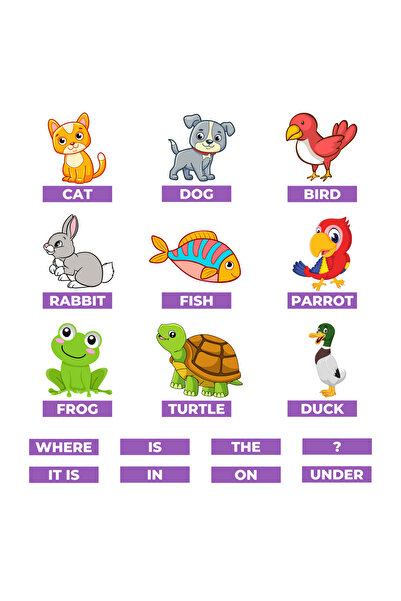 MUTLUTECH 3D 2.فئة اللغة الإنجليزية 8وحدة PETS مجموعة اللباد المغناطيسي