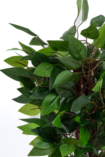 YAPAY ÇİÇEKÇİNİZ Taş Detaylı Siyah Saksıda 60 Cm Yoğun Yapraklı Yapay Benjamin Ağacı