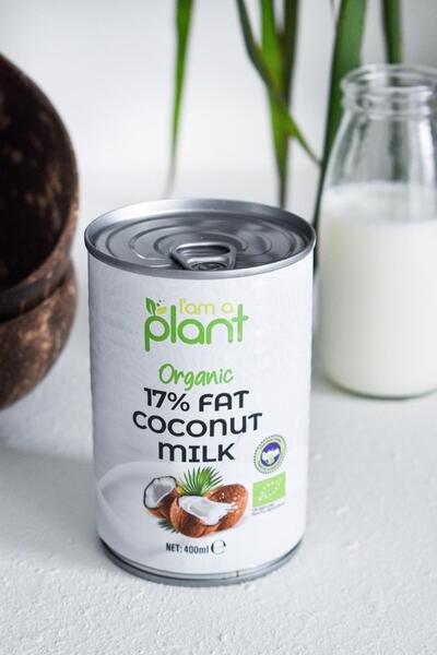 Güzel Ada Gıda Organik Hindistan Cevizi Sütü 400 ml