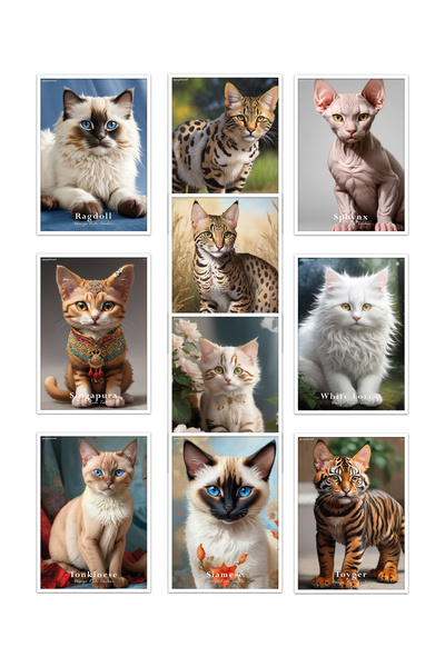 YAPAY ZEKA SANAT Τύποι γατών στον κόσμο - Σετ με 10 αφίσες τοίχου «μεγάλου με...