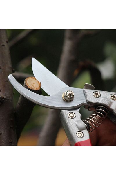 ELKA V8 Pruning Shears Pro 8
