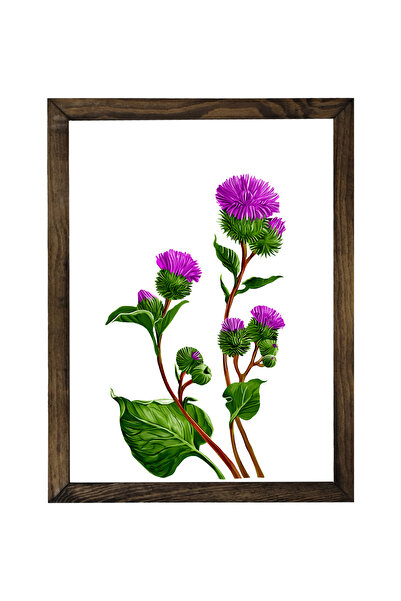 Dekorsiahome Tablou decorativ cu arici, într-o singură bucată, cu ramă din lemn