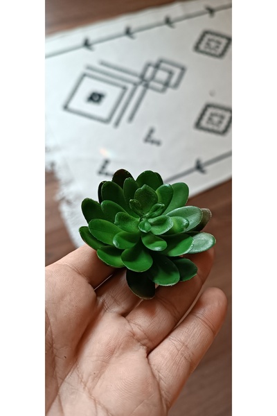 mucizevim Echeveria Artificial Suculent, 2 Pieces Artificial Flower Natural L...