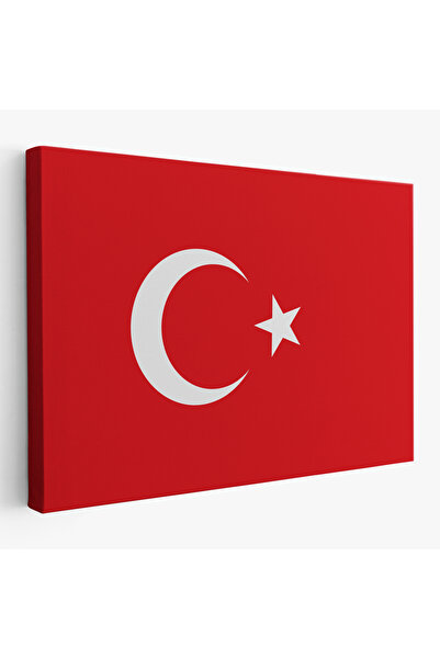 Harita Sepeti Türk Bayrağı Dekoratif Kanvas Duvar Tablosu-3668
