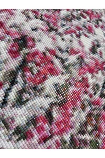 nilonun atölyesi Pembe Kar Çiçekleri Kristal Boncuk Tablo 41 X 56 Cm. (İŞLENMİŞ HAZIR HALDE)