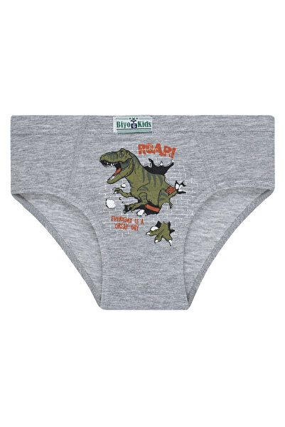 biyokids Πολύχρωμα σλιπ εσώρουχα για αγόρια 5 συσκευασιών - Δεινόσαυρος -