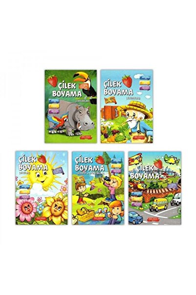GÖNÜL YAYINCILIK Strawberry Painting 5 Books / Collective / Gönül Publishing ...