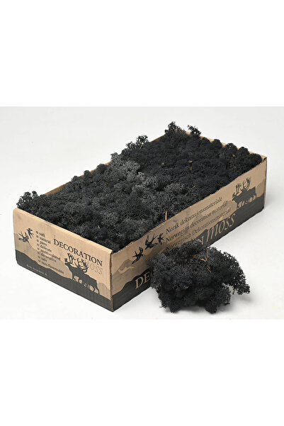 Verticra طحلب الرنة - طحلب نرويجي صادم - عبوة 500 جرام