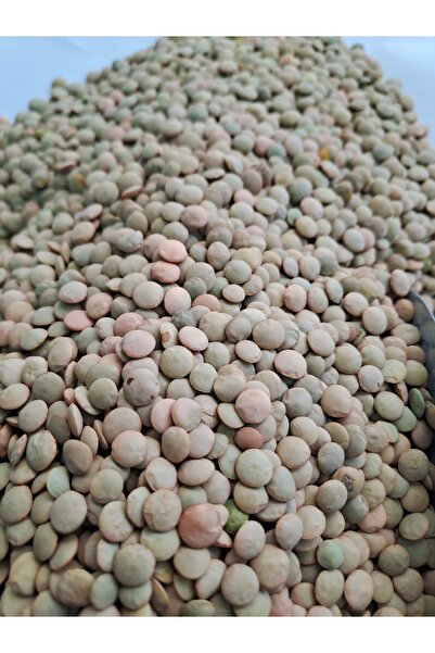Yerli Yeşil Mercimek 2 Kg