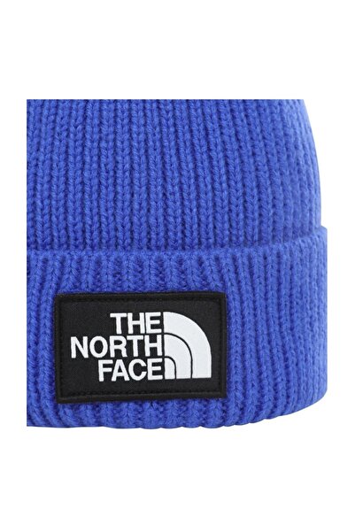 THE NORTH FACE North Face Purple Logo Box - Nf0A3Fjxcz61 Tnf Cuf Bne
