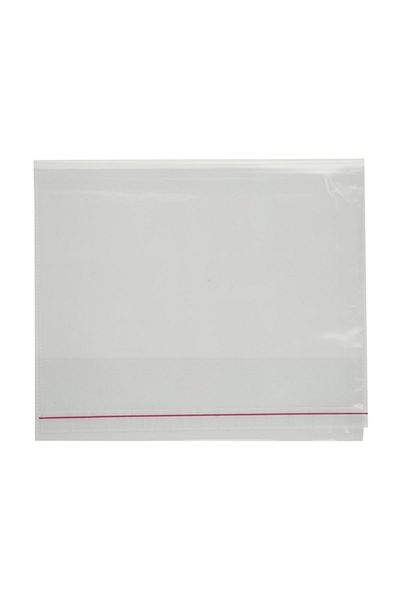Bigpoint Container pentru notebook A4, pachet de 5, cutie transparentă de 25 de bucăți