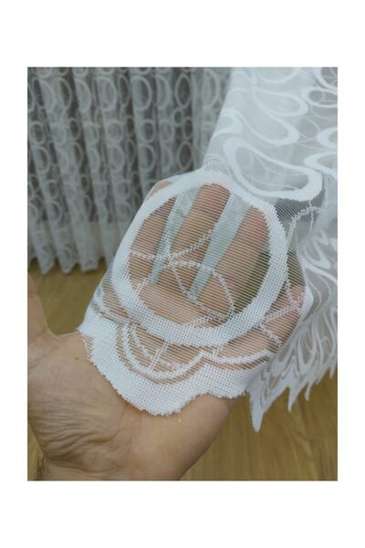 Esse Home Perdea din tul cu dantelă, 300x250, pliu normal, 1/2.5