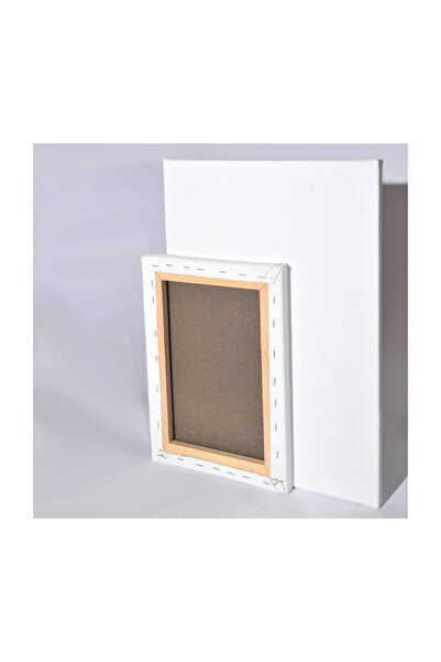 Robin Wood Profesyonel Tuval 40 cm x 60 cm