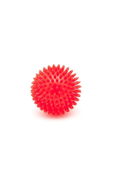 DuyuMarket 8 Cm Dikenli Duyu Topu Sensyball