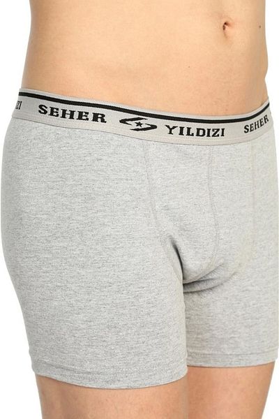 Pemilo Men's Lycra Boxer Gray 3-Piece