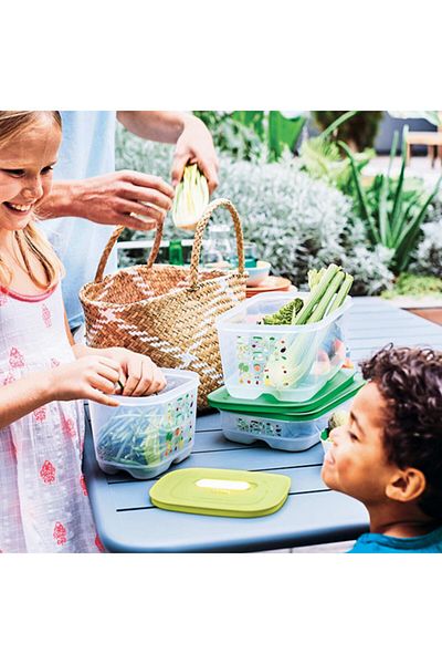 Tupperware Greenhouse Refrigerator Storage Container Set of 3 2 X 1.8 lt Vertical / 1.8 lt Horizontal
