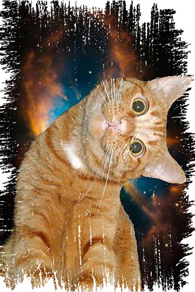 hediyeniburadabul Ρετρό Ξύλινη Αφίσα Τοίχου 20x30