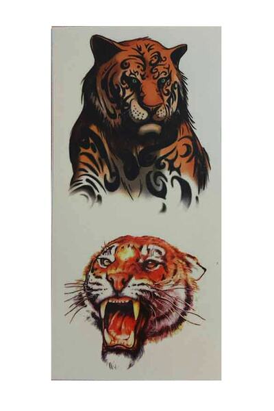 Parti dolabı Renkli Kaplan Geçici Dövme - Flash Tattoo