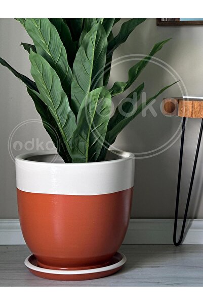 odka 10litre Klasik Saksı Tabaklı 25cmx23cm Kiremit Ekru Renk