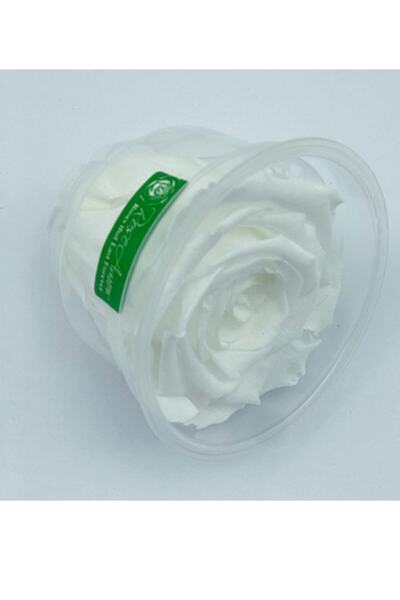 GELİN BUKET Rose Amor- Solmayan Şoklanmış Gül Beyaz