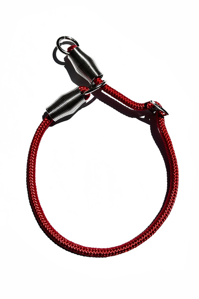 PETSWUU Ayarlanabilir Boğma Köpek Eğitim Antreman İtaat Boyun Tasması