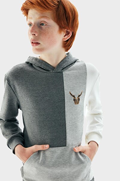 Nebbati Boy Gray Sweatshirt 23PFWNB3407