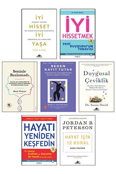 Destek Yayınları Hayatı Yeniden Keşfedin Jeffrey Young İyi Hissetmek David Bu...