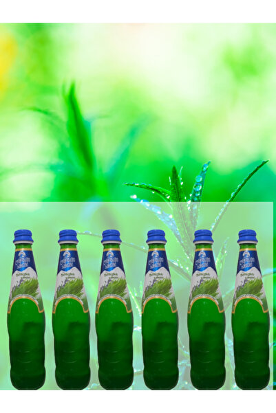 lemonade kazbegı Tarhun Aromalı Gazlı Içecek 6 Adet*500 Ml Cam Şişe