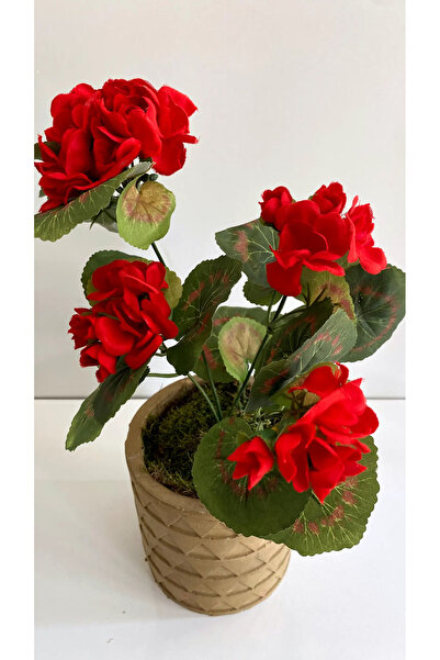 RUZGARCİCEK Rüzgar Aranjament floral artificial: Geranium roșu în ghiveci de ...