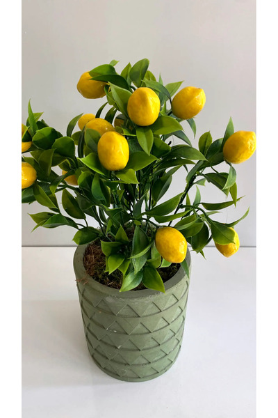 RUZGARCİCEK Rüzgar Aranjament floral artificial 35 cm Pom de lămâie