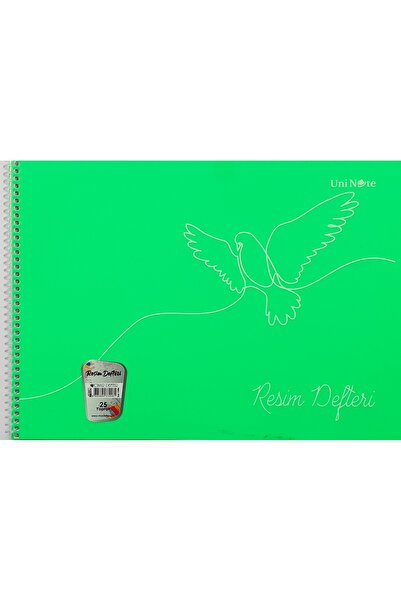 Çınar Caiet pentru pictură 24cm*34cm 25 pagini Copertă din plastic Verde