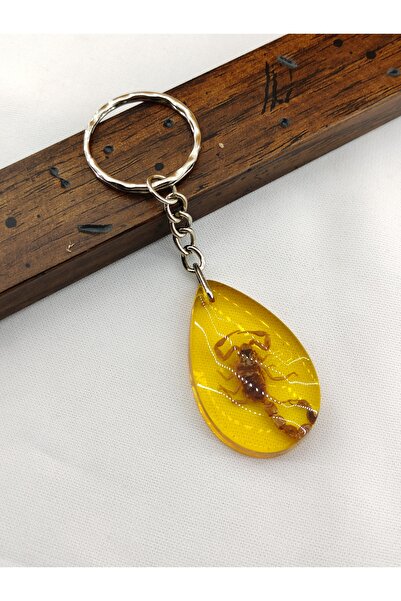 Genel Markalar Akrep Fosilli Anahtarlık