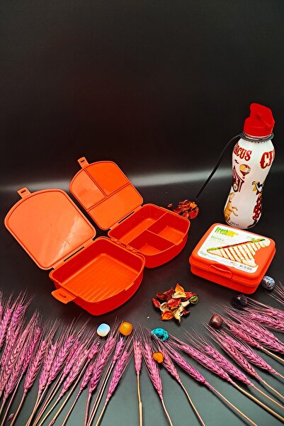 SWENCRAFT Lunch Box 4 Compartments 2 Layers and Sandwich Box 500 Cc Water Bottle 3-Piece Feeding Set Antibacterial