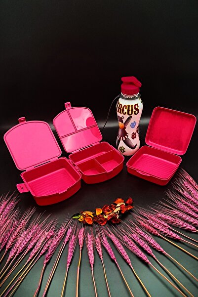 SWENCRAFT Lunch Box 4 Compartments 2 Layers and Sandwich Box 500 Cc Water Bottle 3-Piece Feeding Set Antibacterial