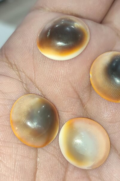 TAŞÇIZADE Yılancık Taşı 1 Adet