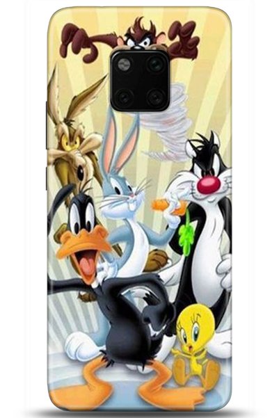 Turkiyecepaksesuar Huawei Mate 20 Pro Case Hd Printed Case - Followed Institu...