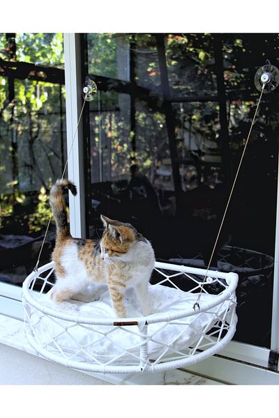 TASARYUM Cat Dog Glass Bed with Suction Cup Handcrafted