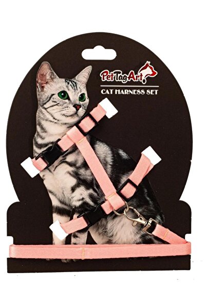 Pet Tag Art PetTagArt طقم طوق قطط قابل للتعديل سلمون 10 ملم 110 سم