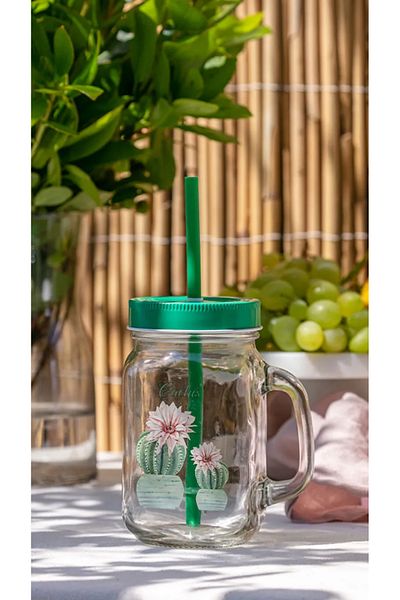LC Waikiki Lcw Home Cactus Printed Glass Cup with Lid and Straw 450 ml