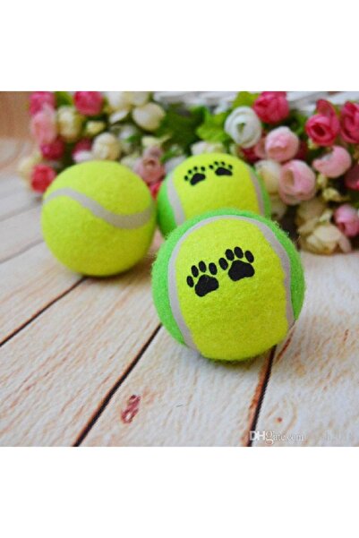 Mixpet Tenis Topu Orta ve Büyük Irk Köpekler İçin Oyuncak 3 Adet