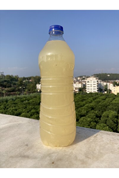 Ayva Sirkesi