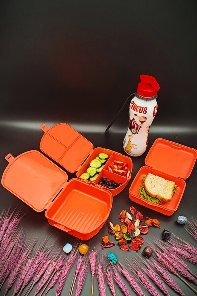 SWENCRAFT Lunch Box 4 Compartments 2 Layers and Sandwich Box 500 Cc Water Bottle 3-Piece Feeding Set Antibacterial
