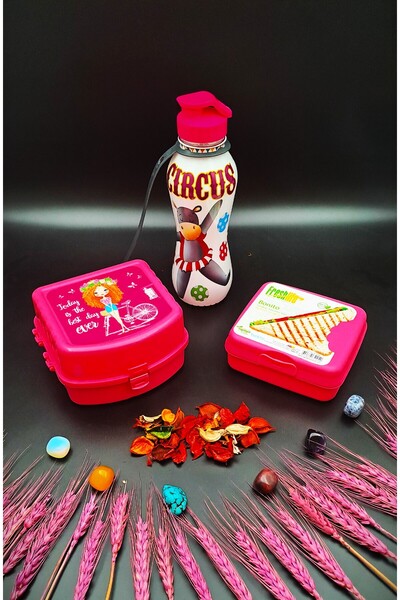 SWENCRAFT Lunch Box 4 Compartments 2 Layers and Sandwich Box 500 Cc Water Bottle 3-Piece Feeding Set Antibacterial