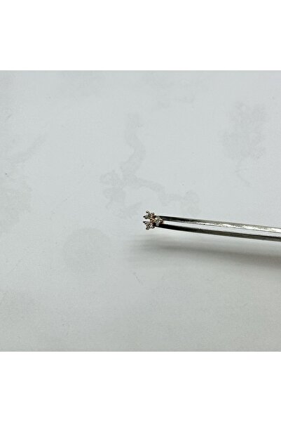 Selen’S Gümüş Kadın Tek Taş Gümüş Tragus Piercing Gümüş Kıkırdak Küpe