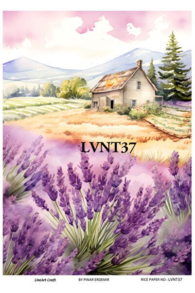 LİNEART Lvnt37 Brass Decopage Paper - 29X42Cm