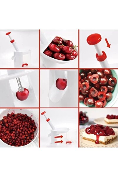 AROW Tr-3468 Hamarat Vişne Kiraz Zeytin Çekirdek Çıkarıcı Fma346870