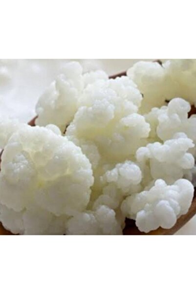 ÇAKIIR Kefir Mayası 15 Gram +5 Gram Hediye=20 Gram Kefir Mayası