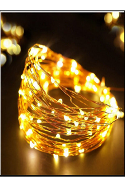 ledison 10 Metre Pilli Peri Led Işık Dekoratif Led Işık, Günışığı