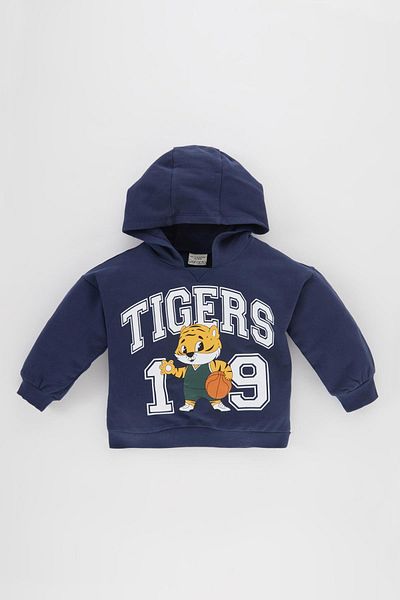 DeFacto Baby Boy Hooded Printed Soft Lined Sweatshirt